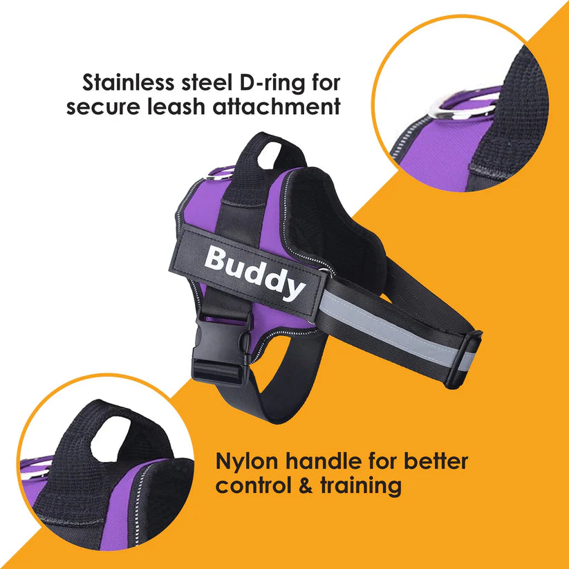Personalised Dog Harness