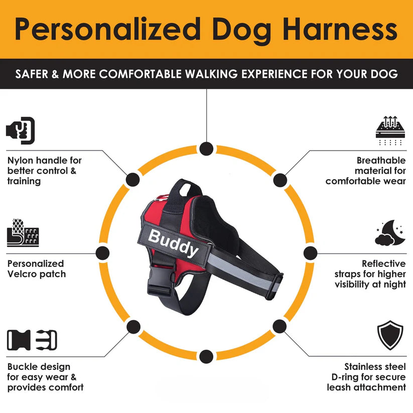 Personalised Dog Harness